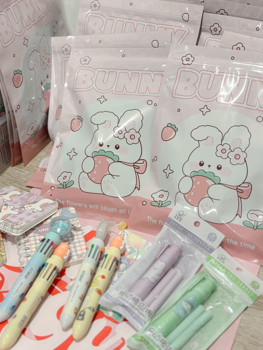 A STATIONARY MYSTERY BAG 🎀 ✏️